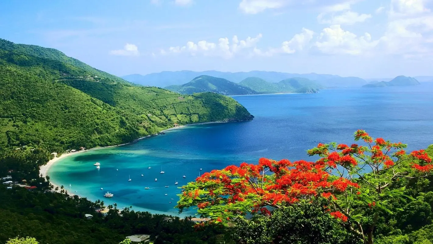 高质量智能
